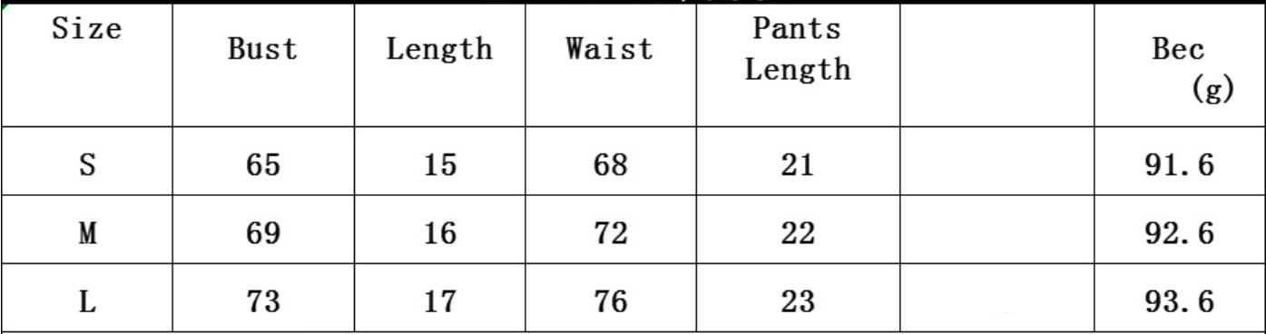 Color Coordinated Two Piece Garter Embroidery Lingerie Set