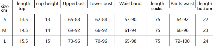 See through Seduction Mesh Underwear Four Piece Set