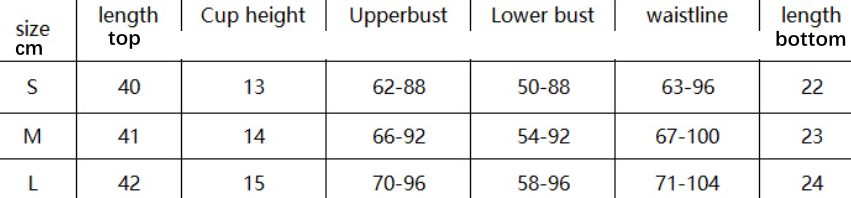 Floral Embroidery See through Mesh Craft Stitching Underwear Garter Belt Two Piece Set